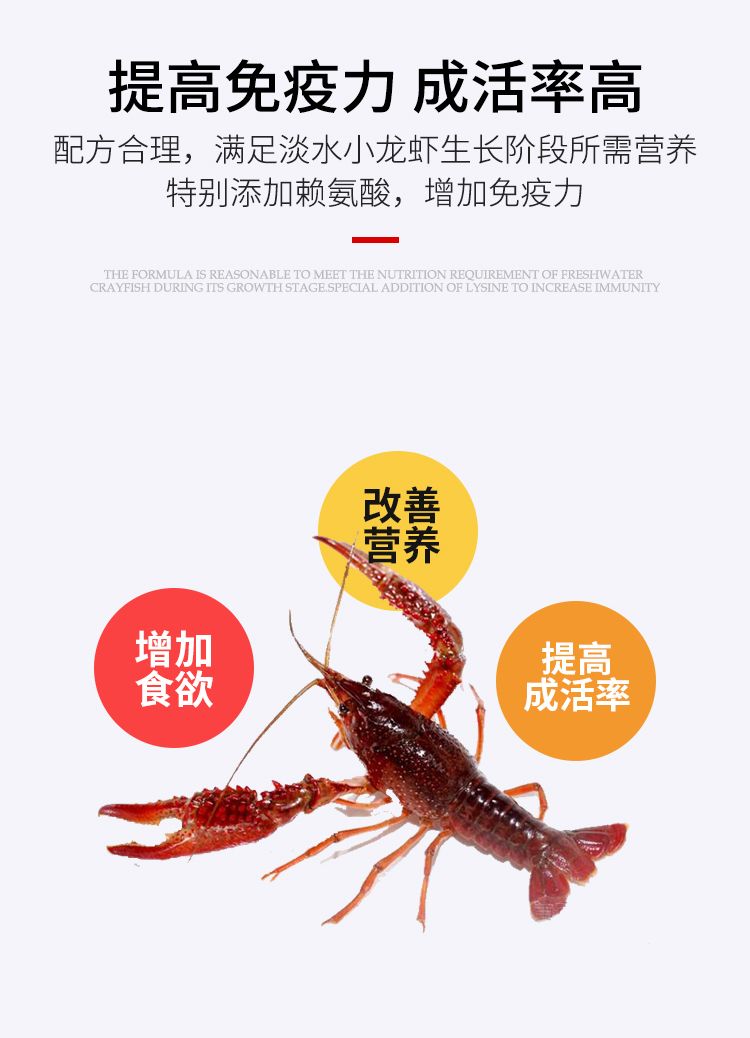 虾饲料 小龙虾养殖专用饲料28/30/32蛋白颗粒料40斤装厂家直销