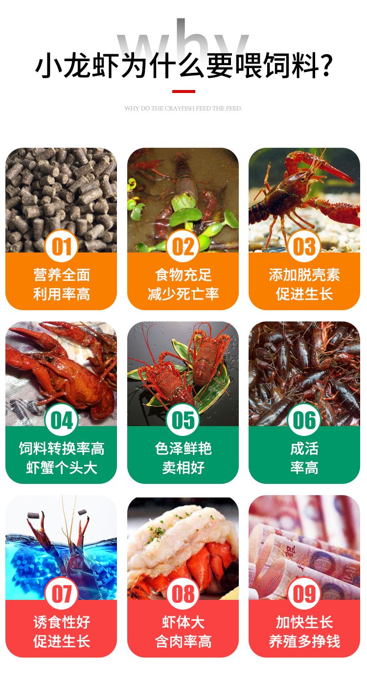 虾饲料 小龙虾养殖专用饲料28/30/32蛋白颗粒料40斤装厂家直销