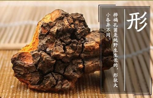 抚松县俄罗斯桦树茸 切块 袋装