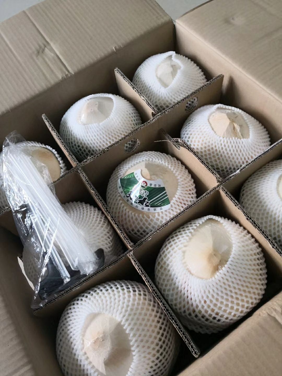  椰子椰青九个装