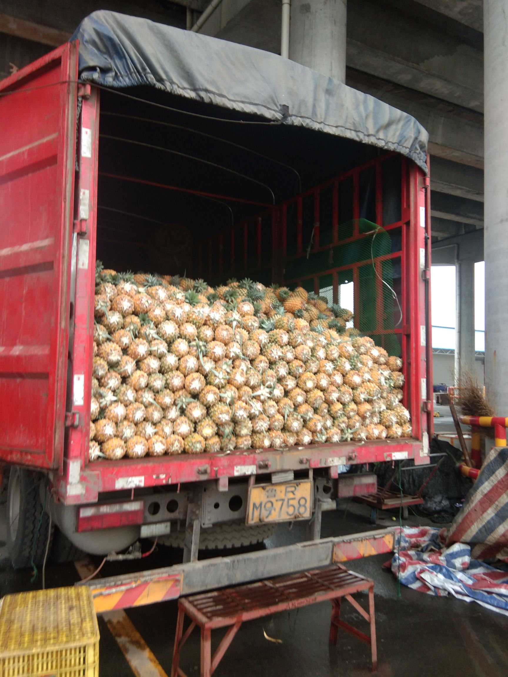 徐闻菠萝 装车才好做，物流有损