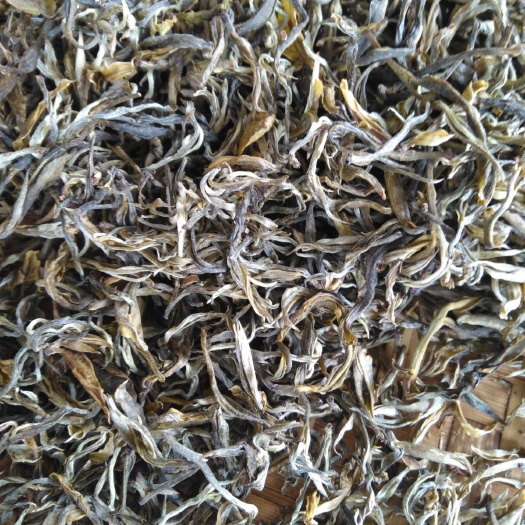 云南大树茶 百年老树大叶茶春茶，自然生长，不施肥不打药，四周没有农作物。