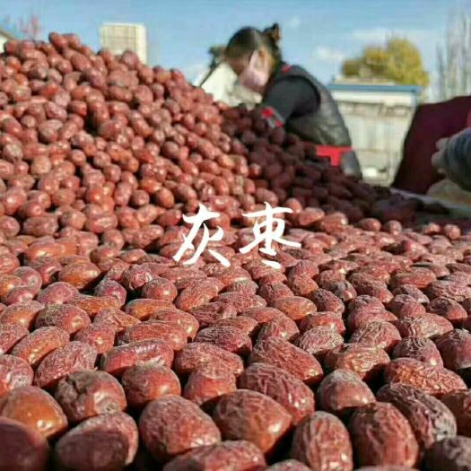沧县灰枣 二级 