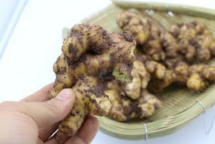 金秀县黄姜 混装通货 带土 