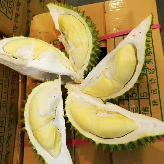 凭祥市猫山王榴莲 3 - 4公斤 80 - 90%以上 