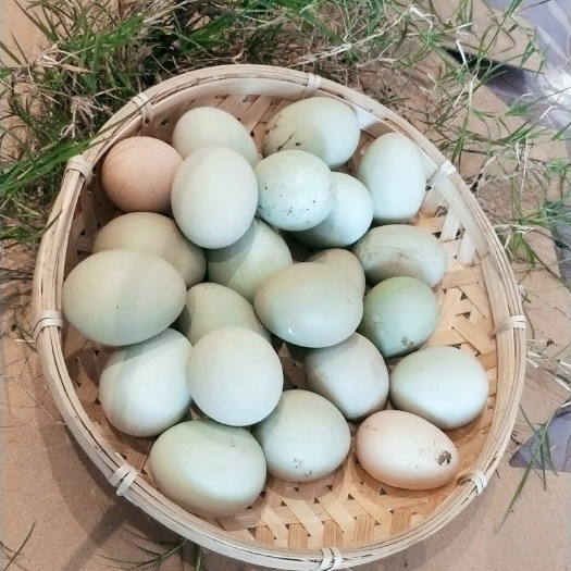 宁乡市绿壳鸡蛋 食用 箱装 
