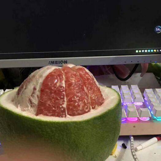 灵山县越南青柠檬苗 
