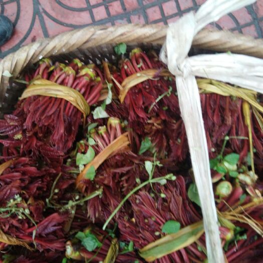 大竹县红香椿芽 混装通货 