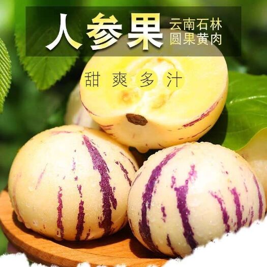 成都红参果种子 