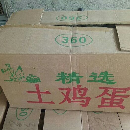 濉溪县农大5号鸡蛋 食用 箱装 