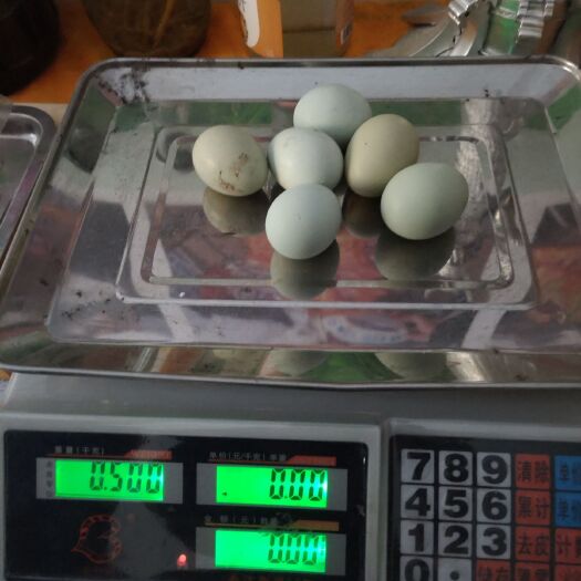 剑河县绿壳鸡蛋 食用 礼盒装 