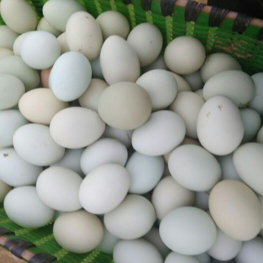 蕲春县土鸡蛋 食用 箱装 