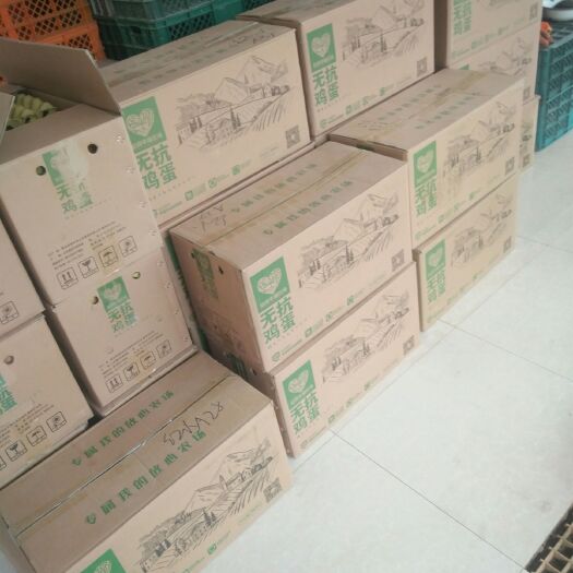 青岛麻酱鸡蛋 箱装 