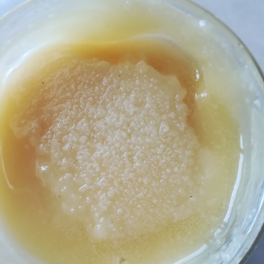 大竹县土蜂蜜 塑料瓶装 98% 2年 