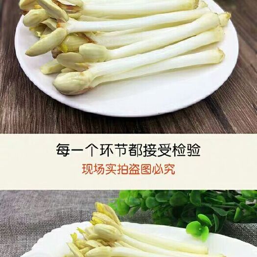 沅江市花生芽 人工种植 10-15cm 