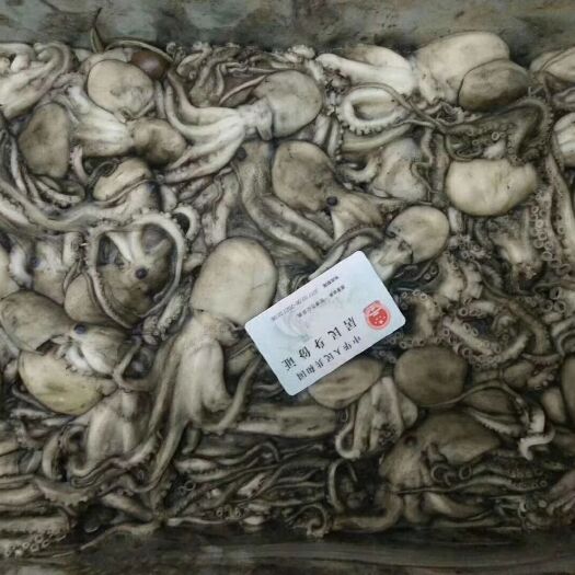 东港市八爪鱼原料章鱼原料原浆八爪