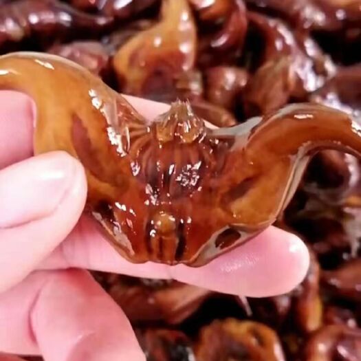 沭阳县两角活水菱 两角菱 