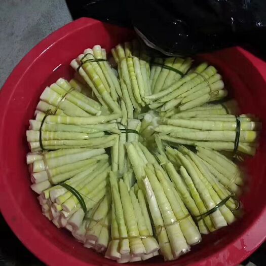 荔浦市甜竹笋 鲜笋 