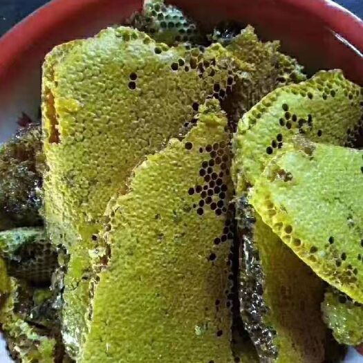 贞丰县土蜂 