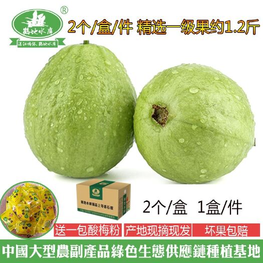廉江市白心番石榴 250-300克 