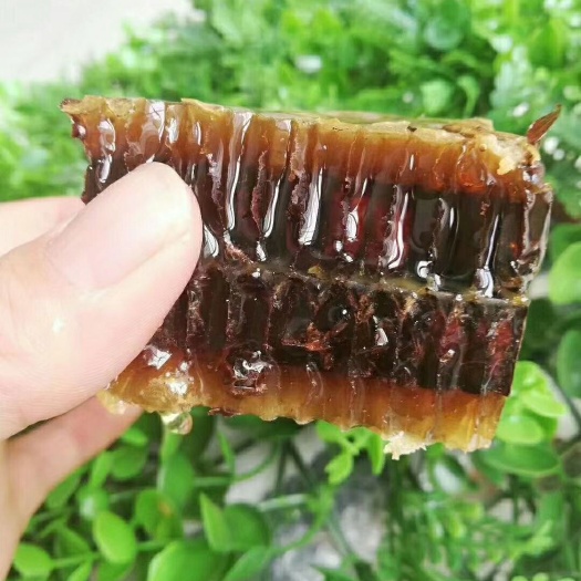 蒙阴县土蜂  土蜂蜜