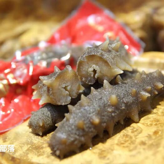 瓦房店市大连海参 