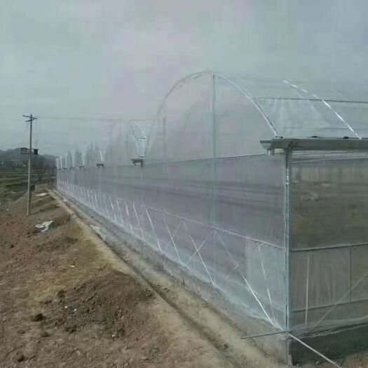 天津钢管大棚 