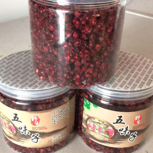集安市东北林下五味子