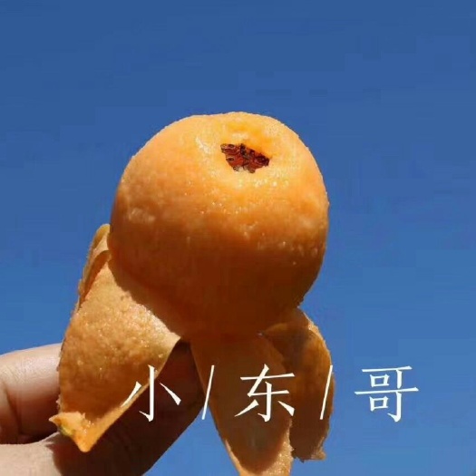米易县米易枇杷 0.7 - 1两 