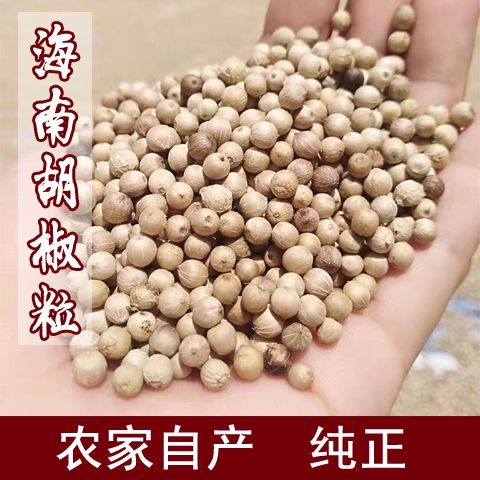 琼海白胡椒 