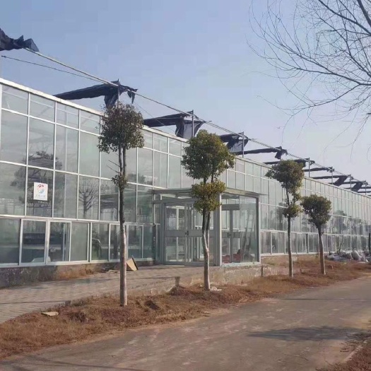天津钢管大棚 
