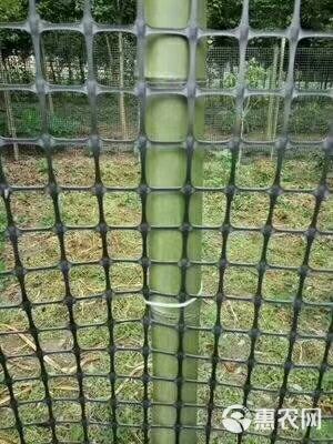 养鸡围栏网 塑料 圈山圈地围墙护栏网 鱼塘 果园