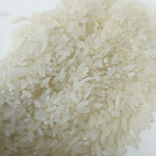 饶河县富硒大米 一等品 晚稻 籼米 