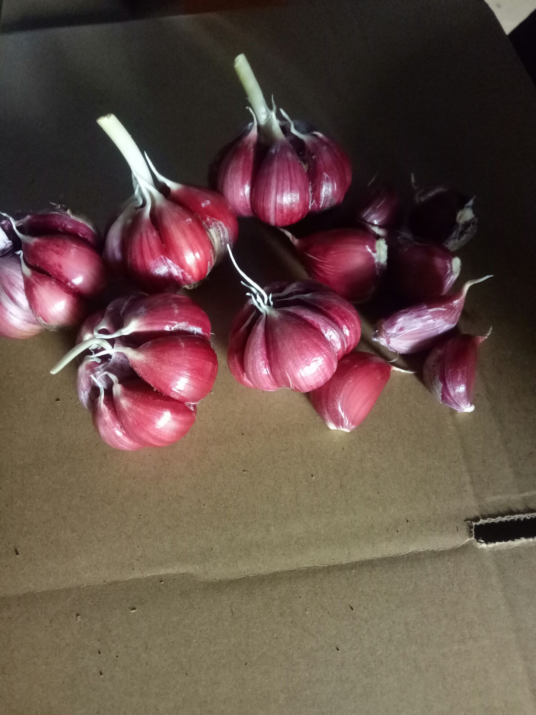 紫皮大蒜 4.5-5.0cm 多瓣蒜
