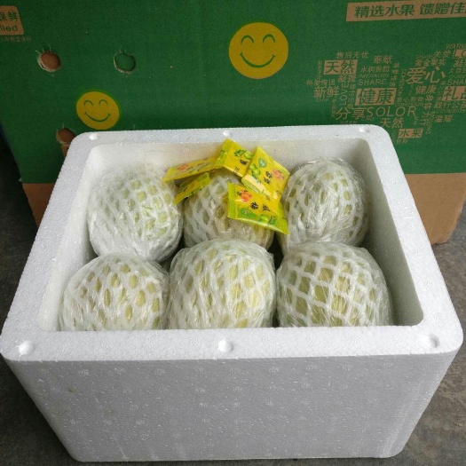 北流市红心芭乐 200-250克 
