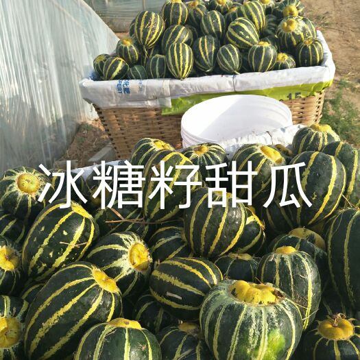 潍坊冰糖子甜瓜 0.5斤以上 早春红玉