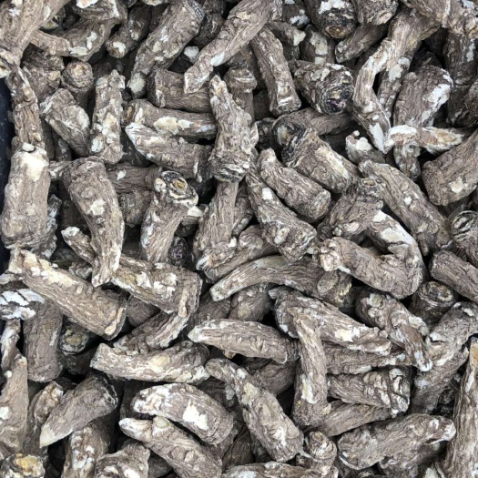 陇南岷当归 水洗无硫 产地直发 传统加工 一手货源，自产自销
