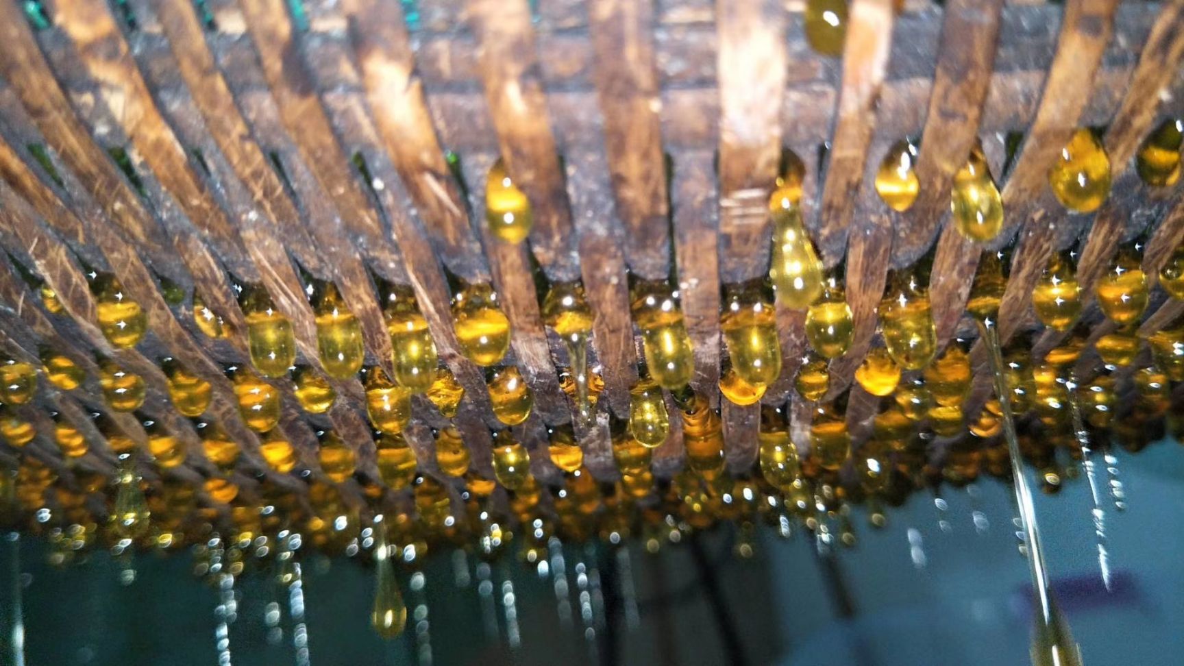 土蜂蜜 塑料瓶装 2年以上 