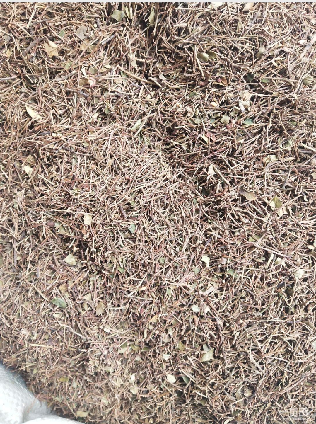 滕州市花椒枝  新子，味道麻。是打粉的