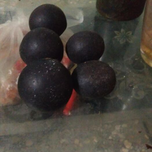 大荔县羊宝