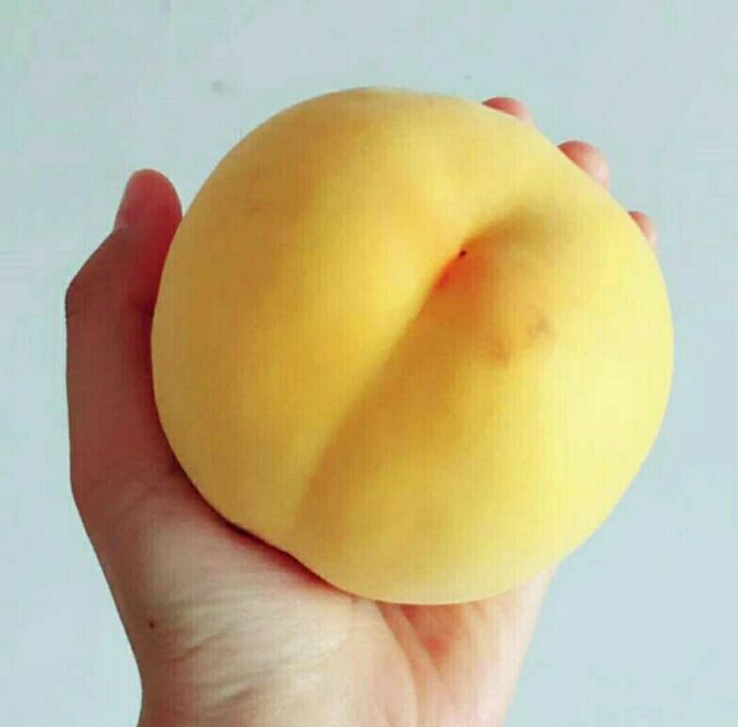 锦绣黄桃苗 0.5~1米 