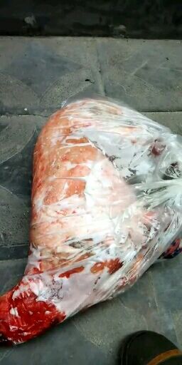 菏泽肉羊 80-110斤