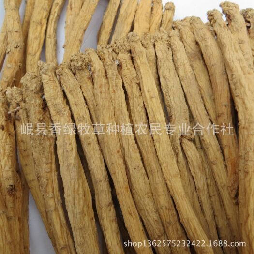 渭源县白条党参 