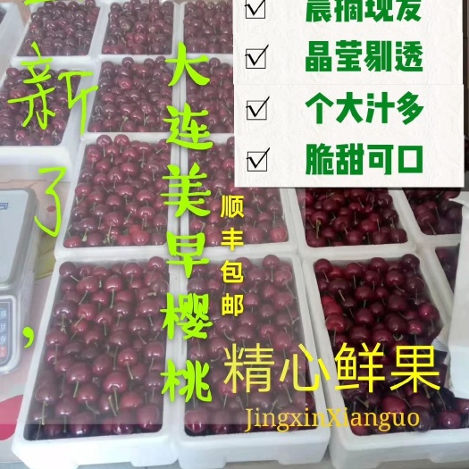 大连美早樱桃 26-28mm 8-12g 