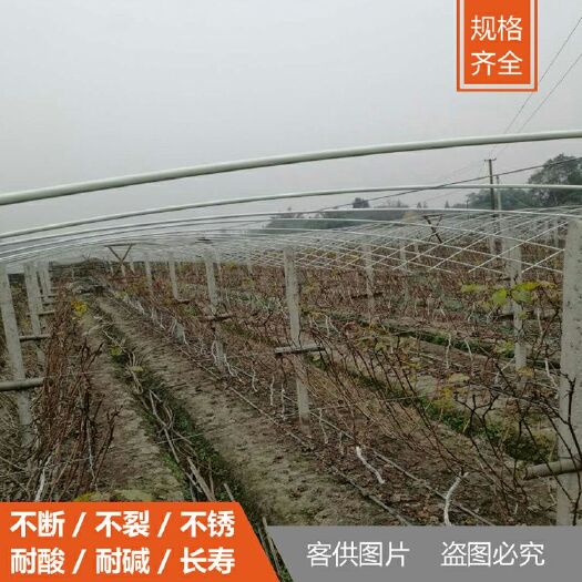 苏州大棚杆