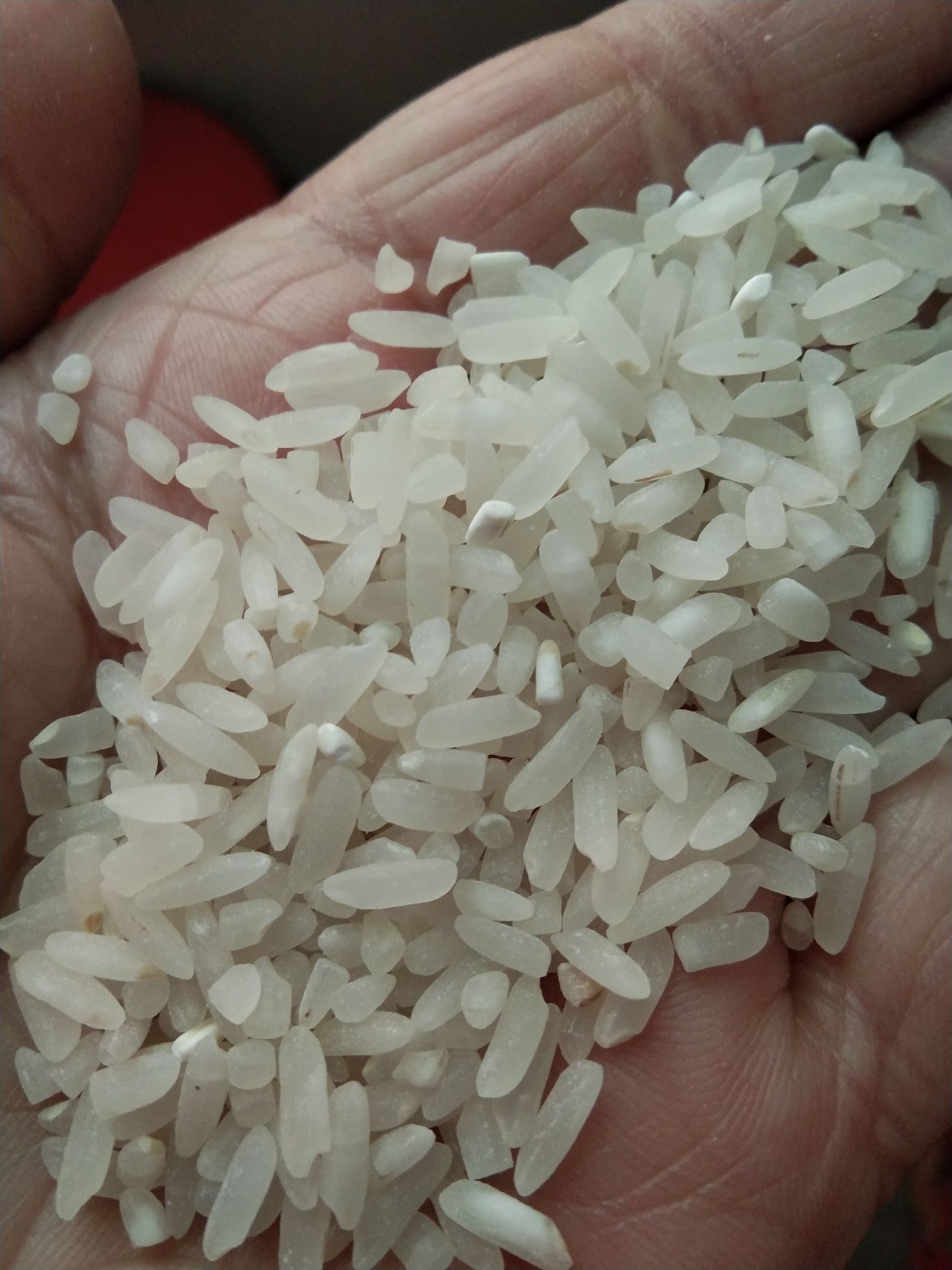 一季稻大米批发采购_一季稻大米供应_一季稻