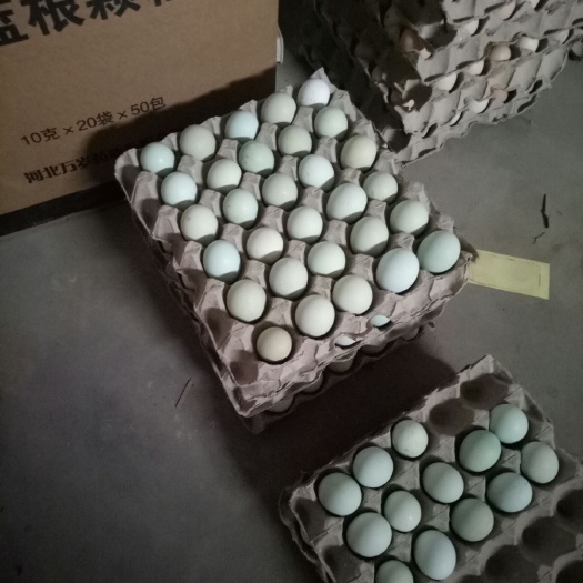 河间市土鸡蛋 食用 散装 