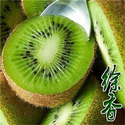 肥城市徐香猕猴桃苗 嫁接苗 
