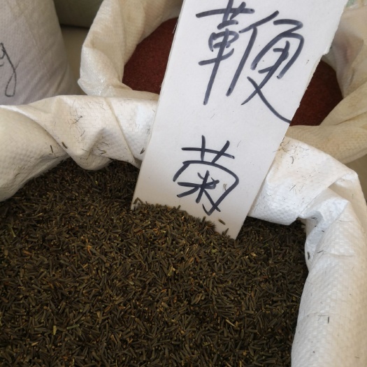 安国市蛇鞭菊