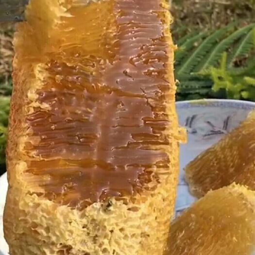 瑞丽市小挂蜜 玻璃瓶装 1年  